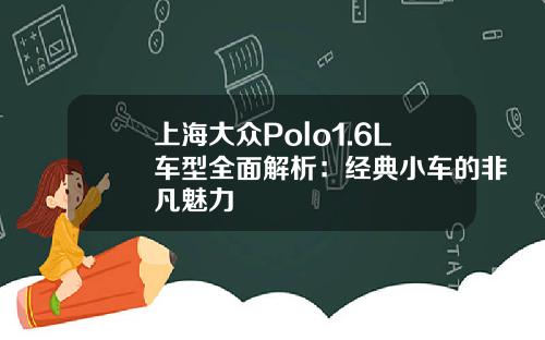 上海大众Polo1.6L车型全面解析：经典小车的非凡魅力