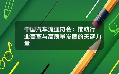 中国汽车流通协会：推动行业变革与高质量发展的关键力量