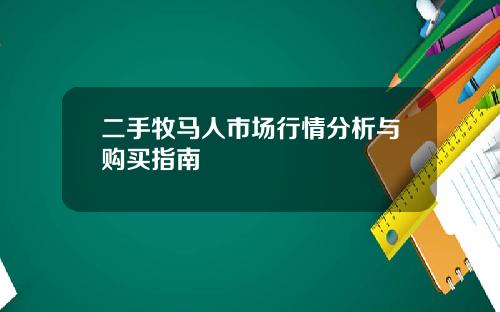 二手牧马人市场行情分析与购买指南