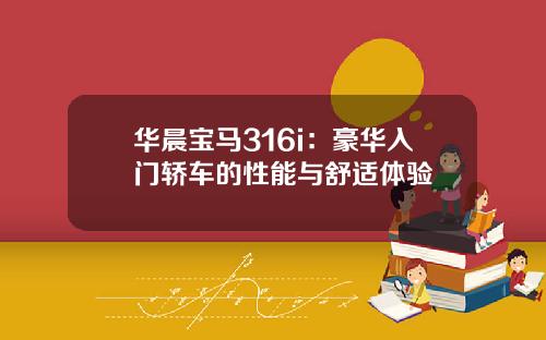 华晨宝马316i：豪华入门轿车的性能与舒适体验