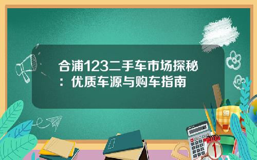 合浦123二手车市场探秘：优质车源与购车指南
