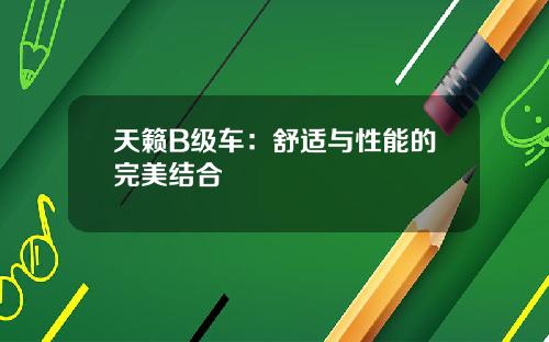 天籁B级车：舒适与性能的完美结合