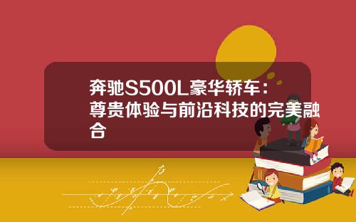 奔驰S500L豪华轿车：尊贵体验与前沿科技的完美融合