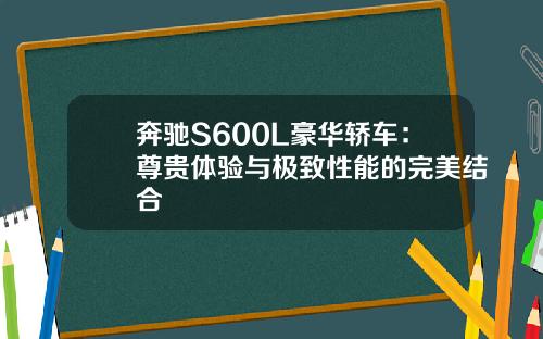 奔驰S600L豪华轿车：尊贵体验与极致性能的完美结合
