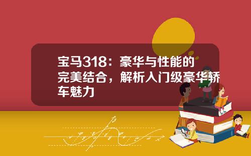 宝马318：豪华与性能的完美结合，解析入门级豪华轿车魅力