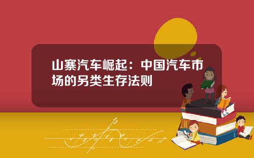 山寨汽车崛起：中国汽车市场的另类生存法则