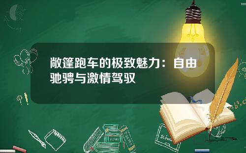 敞篷跑车的极致魅力：自由驰骋与激情驾驭
