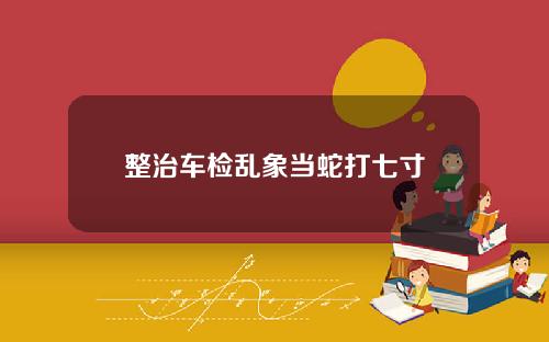 整治车检乱象当蛇打七寸