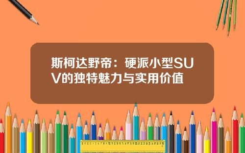 斯柯达野帝：硬派小型SUV的独特魅力与实用价值