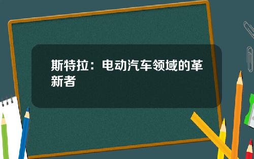斯特拉：电动汽车领域的革新者