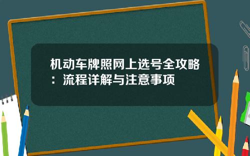 机动车牌照网上选号全攻略：流程详解与注意事项