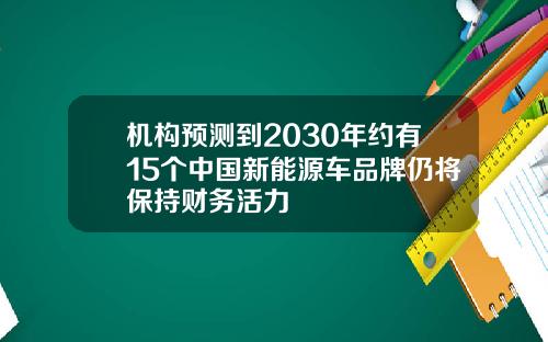 机构预测到2030年约有15个中国新能源车品牌仍将保持财务活力