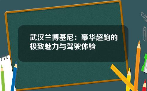 武汉兰博基尼：豪华超跑的极致魅力与驾驶体验
