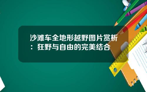 沙滩车全地形越野图片赏析：狂野与自由的完美结合