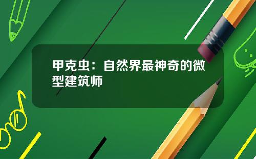 甲克虫：自然界最神奇的微型建筑师