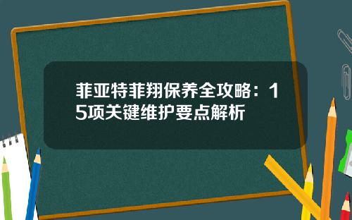 菲亚特菲翔保养全攻略：15项关键维护要点解析