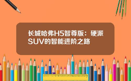 长城哈弗H5智尊版：硬派SUV的智能进阶之路