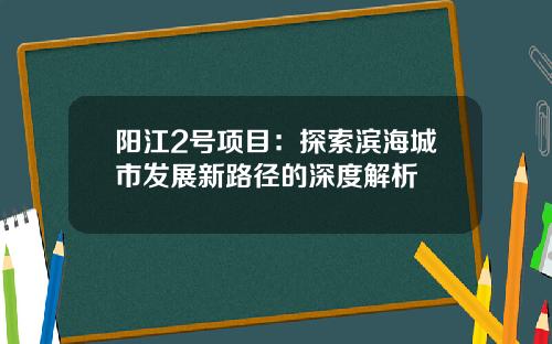 阳江2号项目：探索滨海城市发展新路径的深度解析
