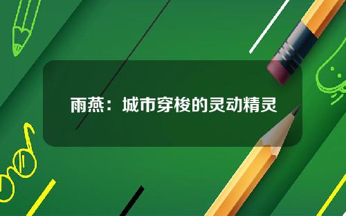 雨燕：城市穿梭的灵动精灵