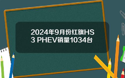 2024年9月份红旗HS3 PHEV销量1034台