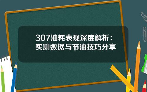 307油耗表现深度解析：实测数据与节油技巧分享